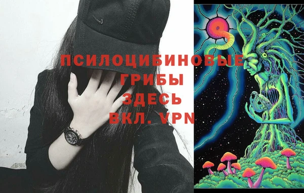 mix Армянск