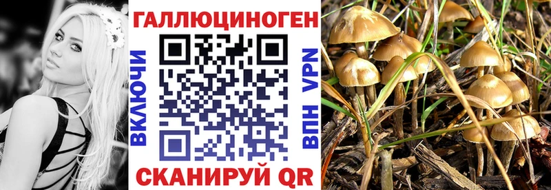 Галлюциногенные грибы Psilocybe  Перевоз 